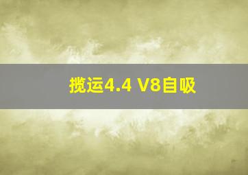 揽运4.4 V8自吸